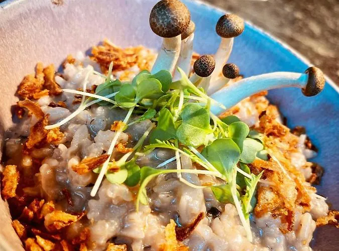 Pate'o & بيت شباب