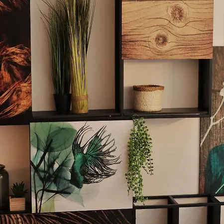 Pate'o & Ostello Ovar