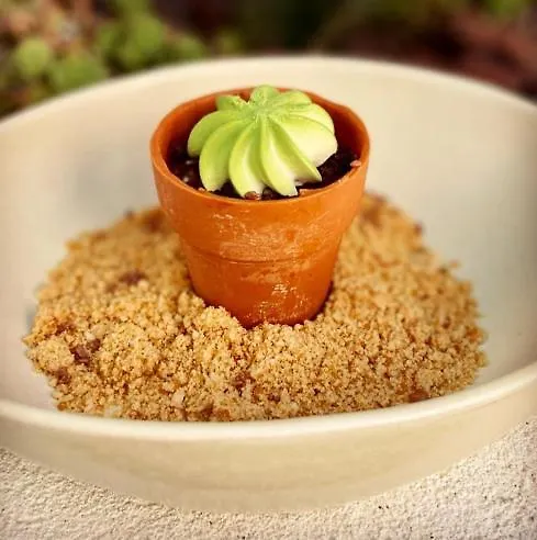 Pate'o & Auberge de jeunesse