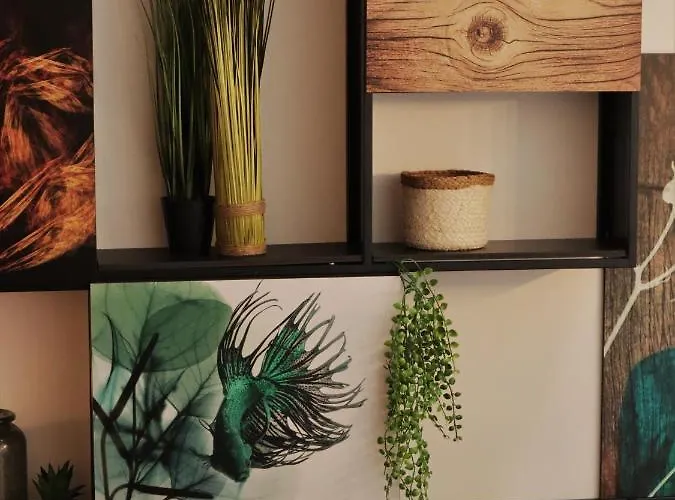 Pate'o & Auberge de jeunesse Ovar